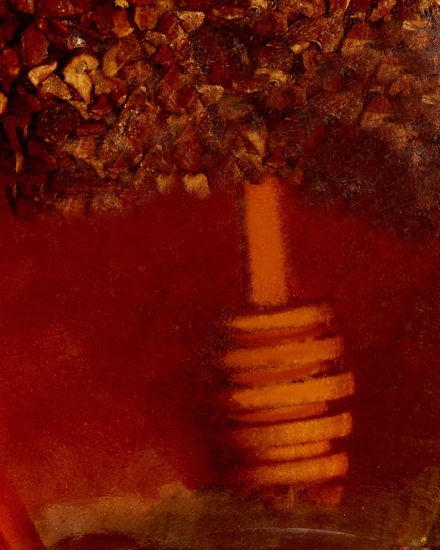 MIEL ARTESANAL PANAMEÑA CON NIBS DE CACAO