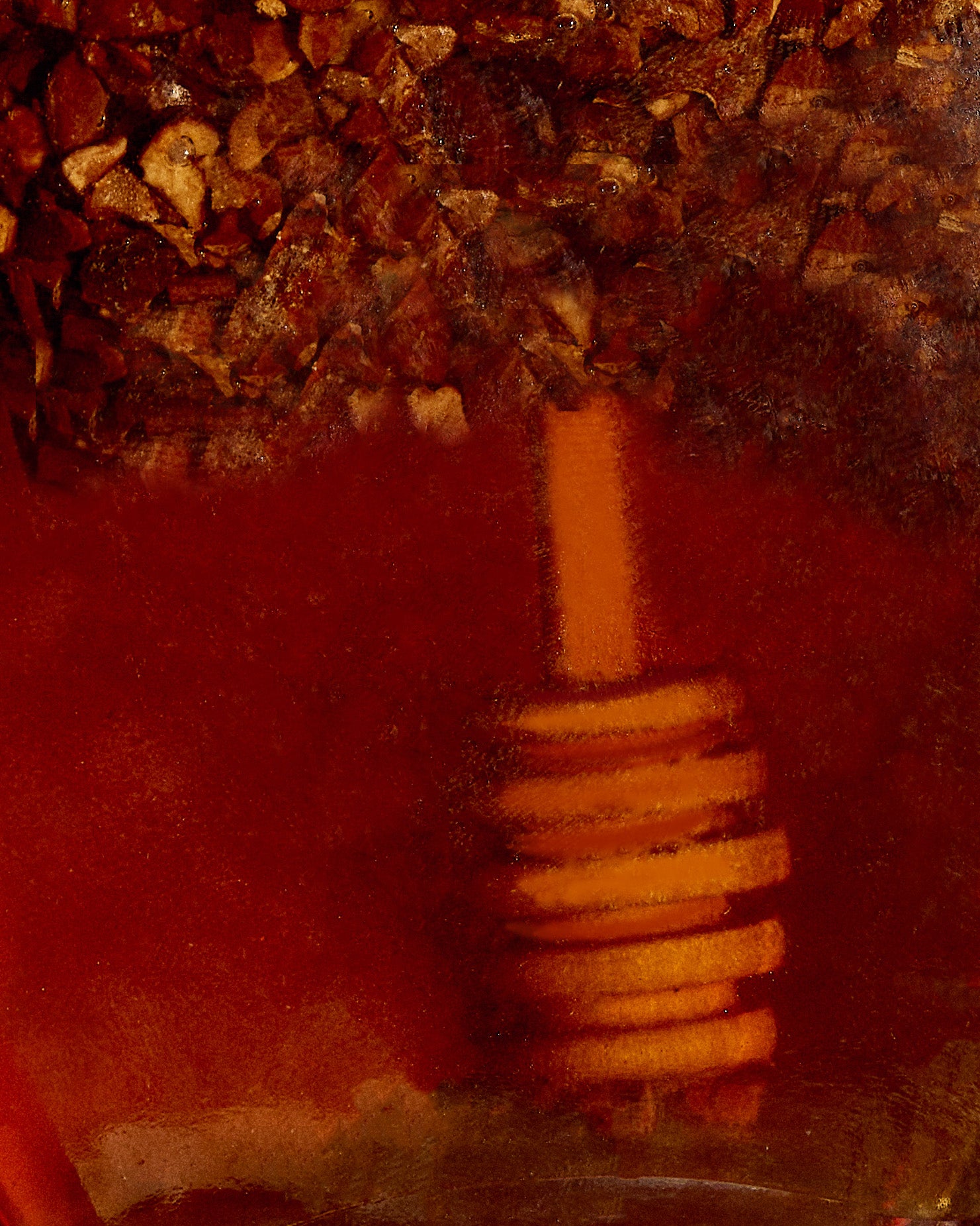 MIEL ARTESANAL PANAMEÑA CON NIBS DE CACAO – Oro Moreno Panamá
